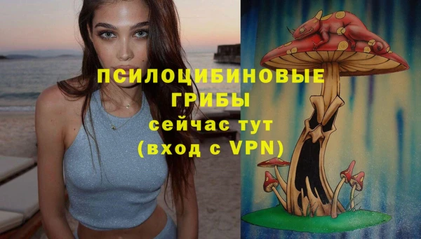 стафф Медвежьегорск