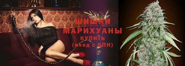 стафф Медвежьегорск