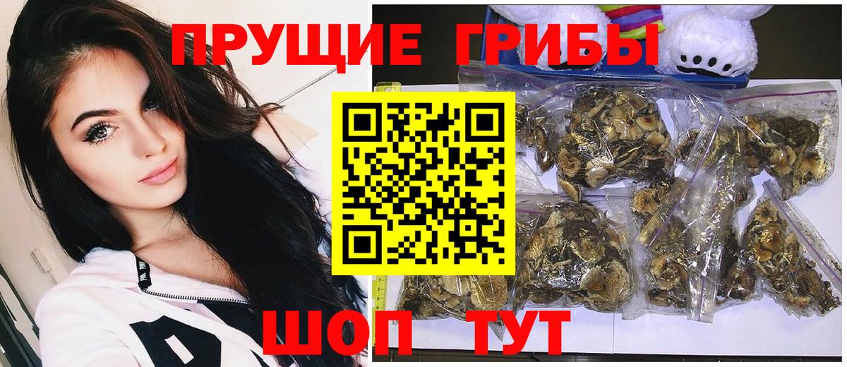 Галлюциногенные грибы прущие грибы Коммунар